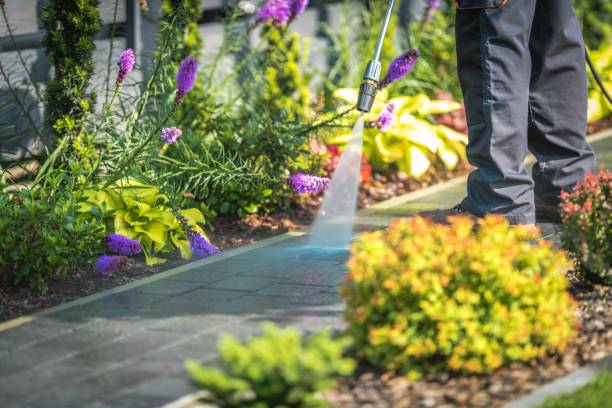Best Patio and Deck Pressure Washing  in Copperas Cove, TX